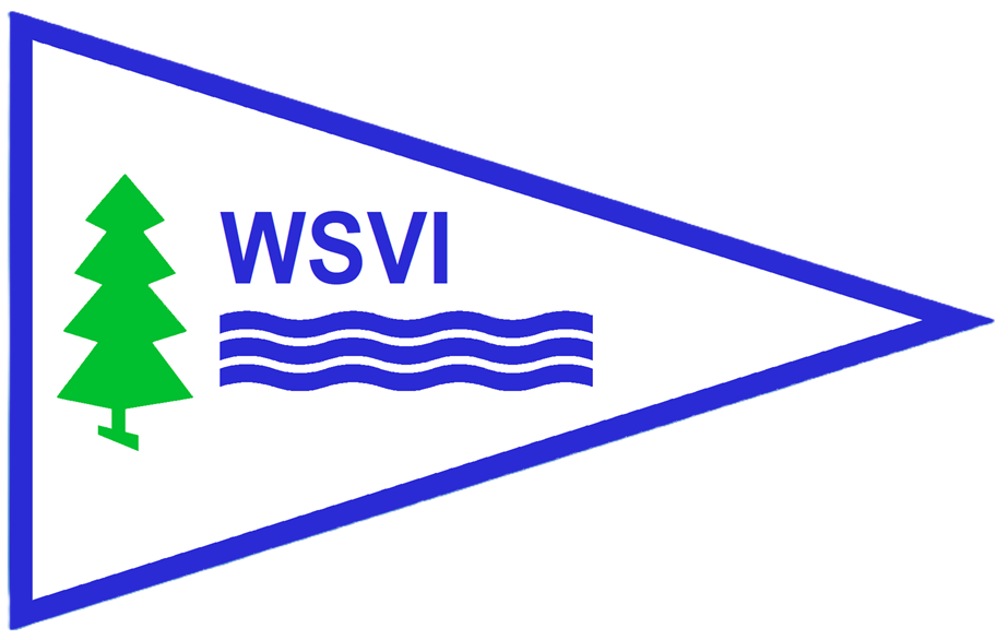 WSVI Logo